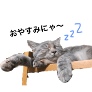NYAN ZU of my home-