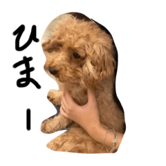 kazuki_20210625125054