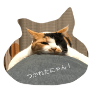 Diary mixcat