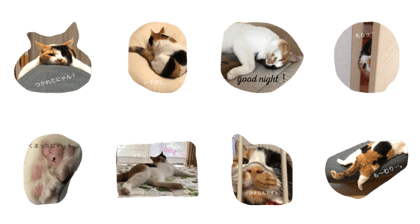 Diary mixcat