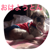 tonten