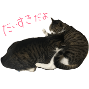 indyichigo&fumiko