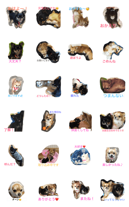 Chihuahua Sisters