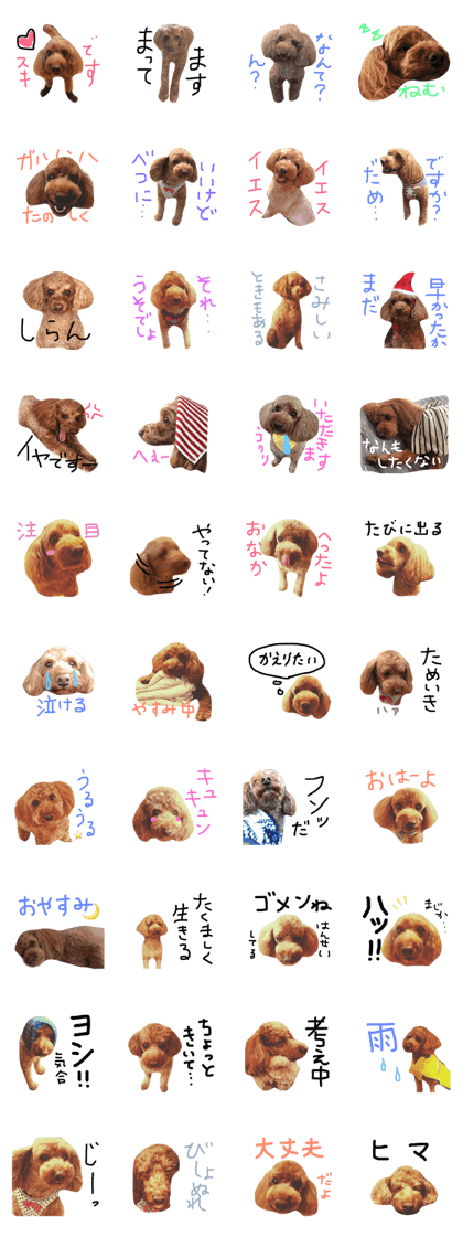 shu-toypoo