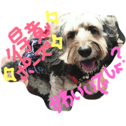 I love moca