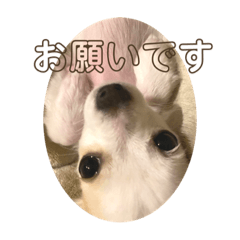 koko_20210625223609