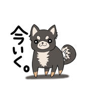 shizimi.s_20210625231655