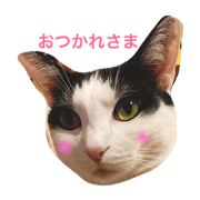 My name is KOUME