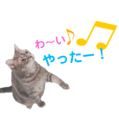 miki_20210626002029