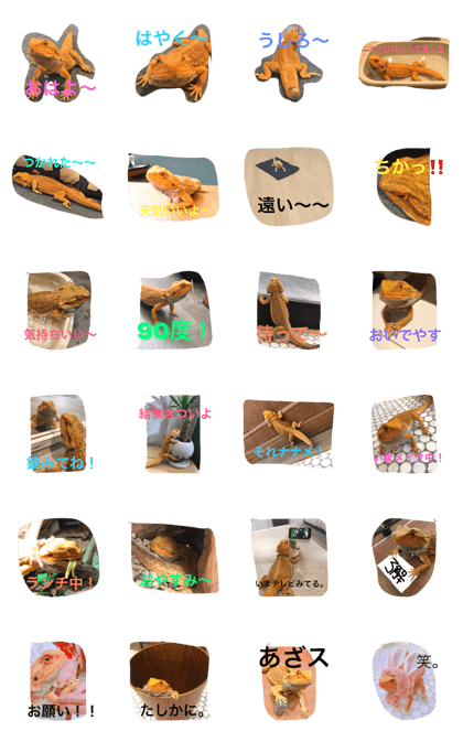 tono's stamp