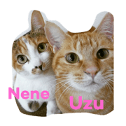 Uzu&Nene