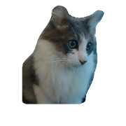 nyannyannyanta