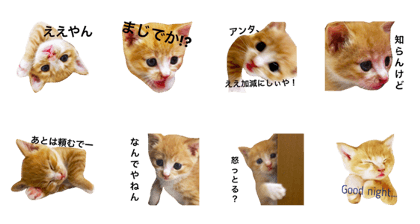 Naniwa's kittens stamp