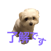 muuchan