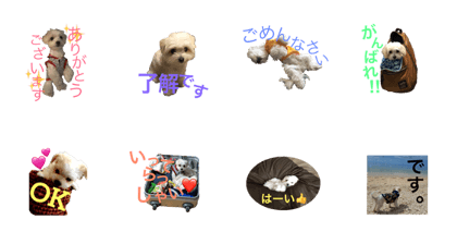 muuchan