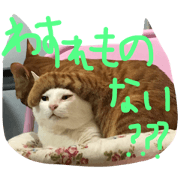 neconecobiyori.
