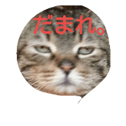 komanekofamily