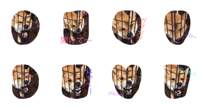 SHIBASHIBACHAN