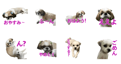 Hoo & Rin 2