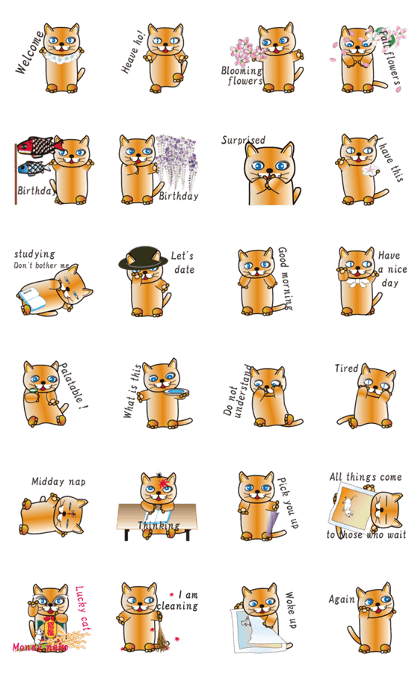 500 cats 10-273e-1