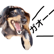 Suni2