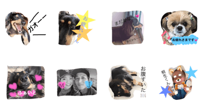 Suni2