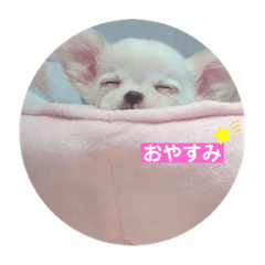 hana_20210625212536