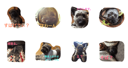 kuu's life