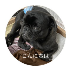 kaito_20210626110039