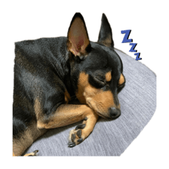 Asuka_20210625220326