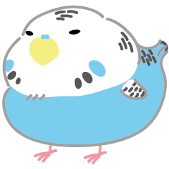 Cute bird-Budgerigar