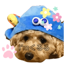 RINA_20210625233923