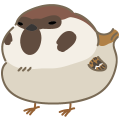 Cute bird-sparrow