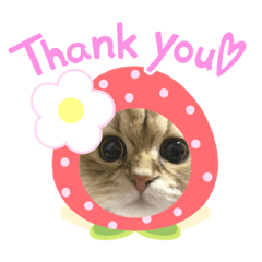 nanami_20210626001033