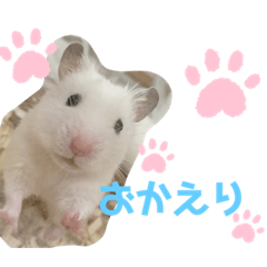 natsumi_20210626001947