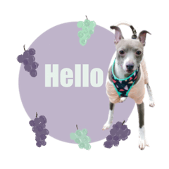 LUKE__coton sticker