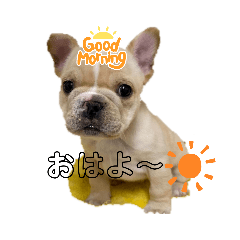OMOCHI_20210626082028