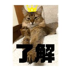 kaori_20210626091832