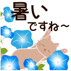 Summer_Flower-filled rabbits and cats