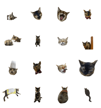 two funny cats