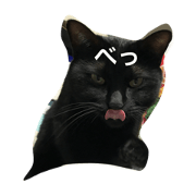 I'm Ms KURO.