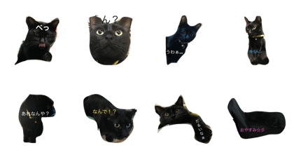 I'm Ms KURO.