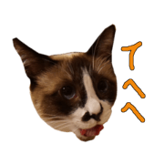 Anko face