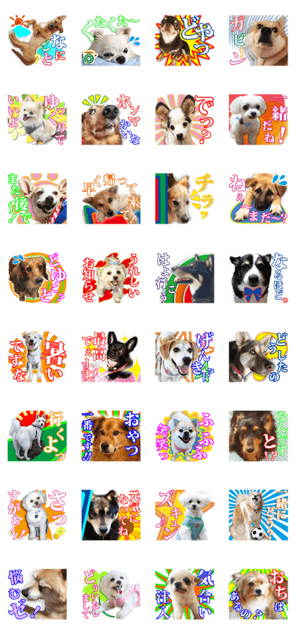 Rescued dogs 7