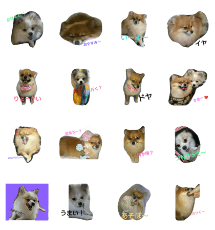 Pomechan(Koron&Chip)