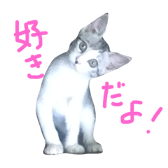 Toto stamp