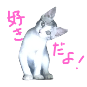 Toto stamp