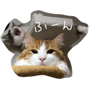 harumatom