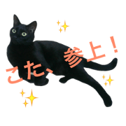 Kotaro H.