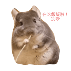 超可愛龍貓貼圖-Emma